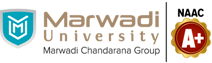 Marwadi University Career